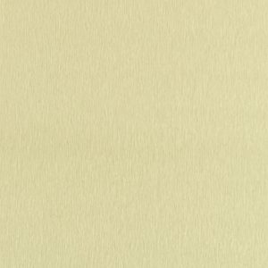 No.4 light Champagne