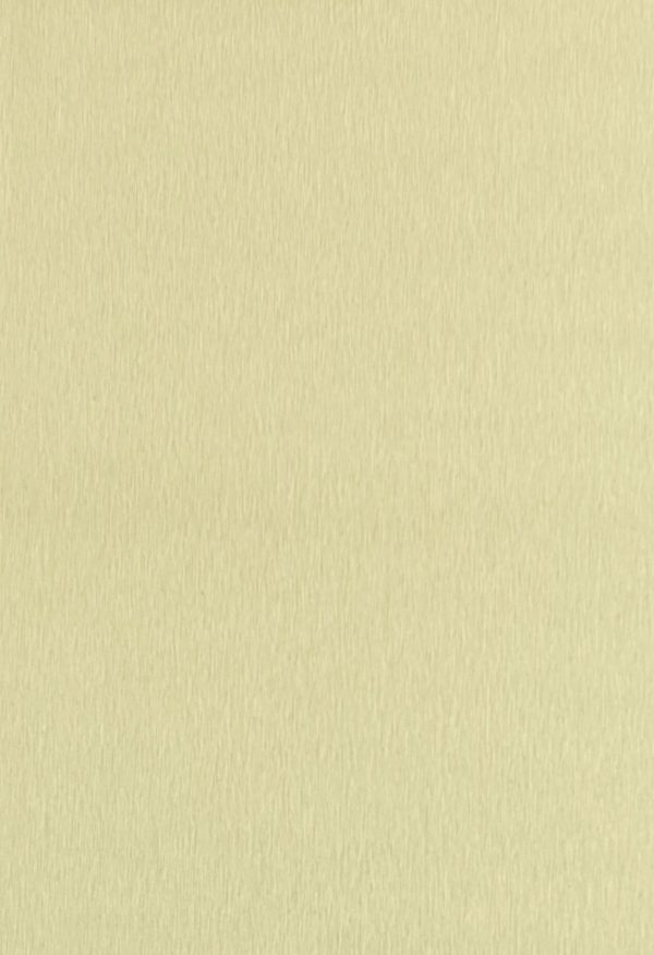 No.4 light Champagne