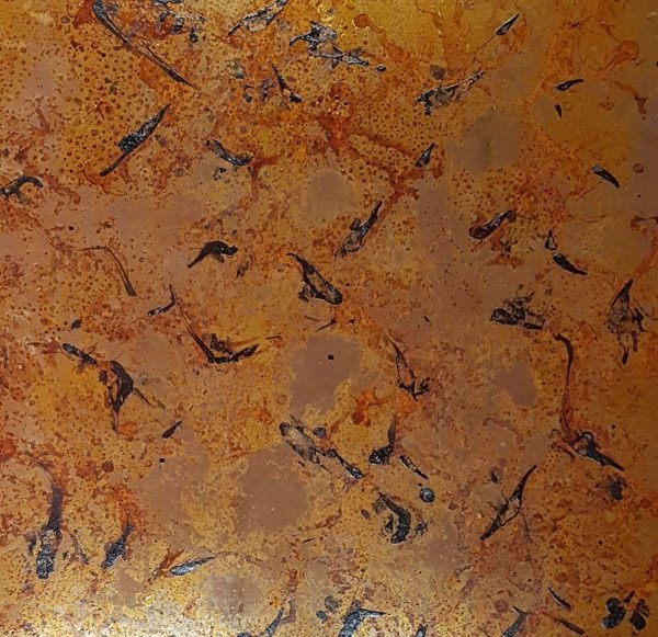 SS Antique Mirror-Copper